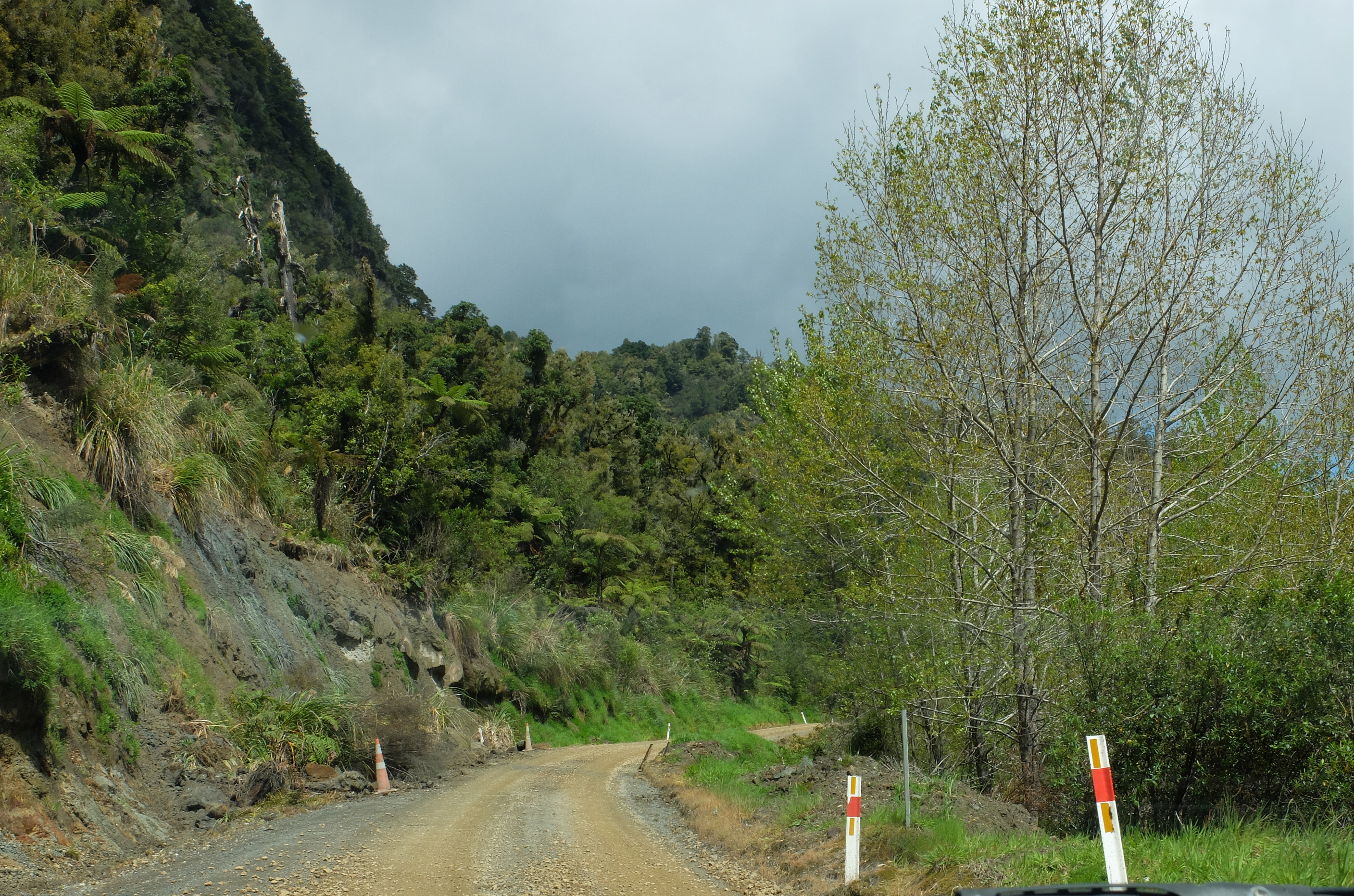 Forgotten World Highway (SH43)