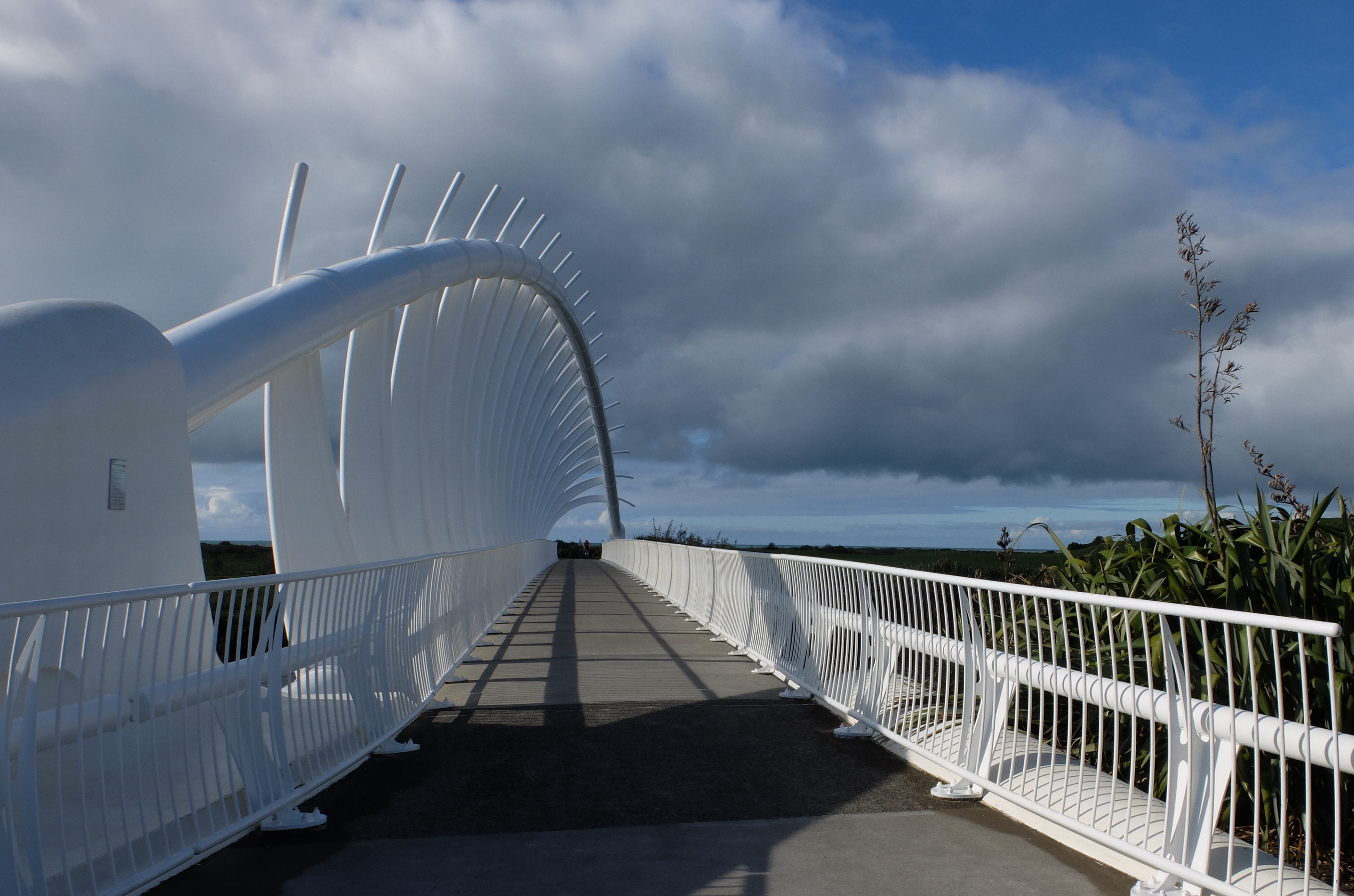 Te Rewa Rewa Bridge