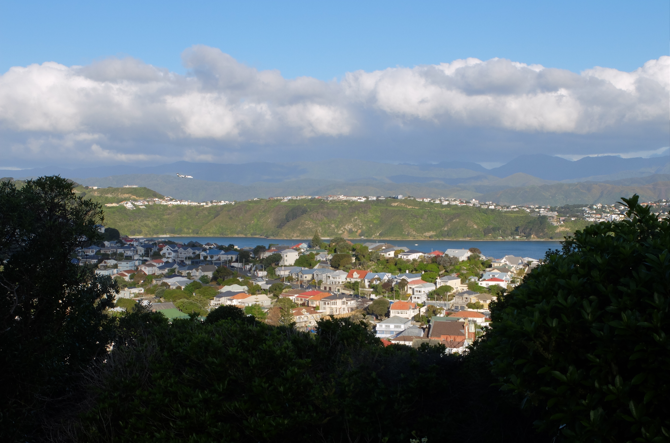 wellington