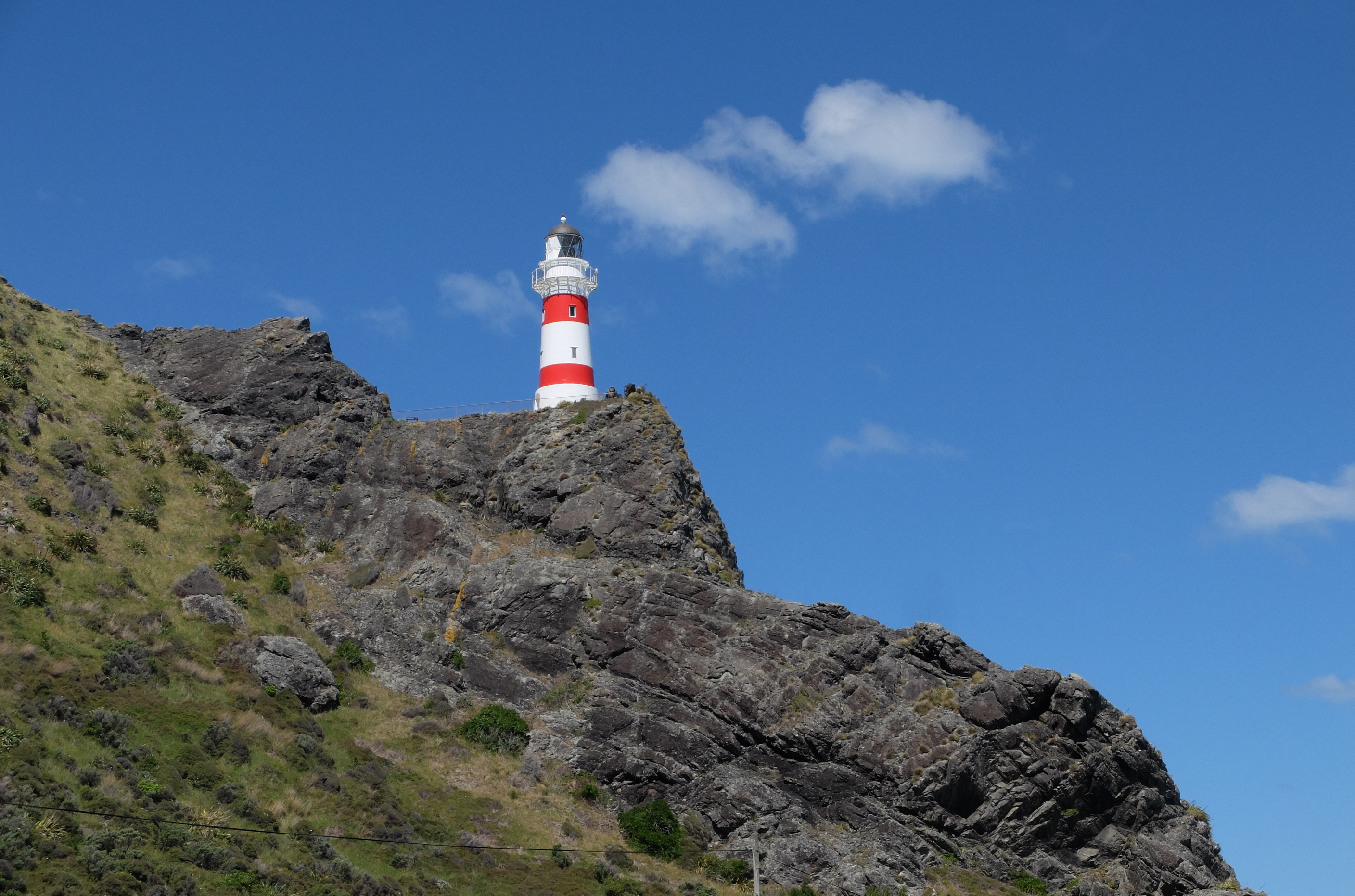 cape palliser