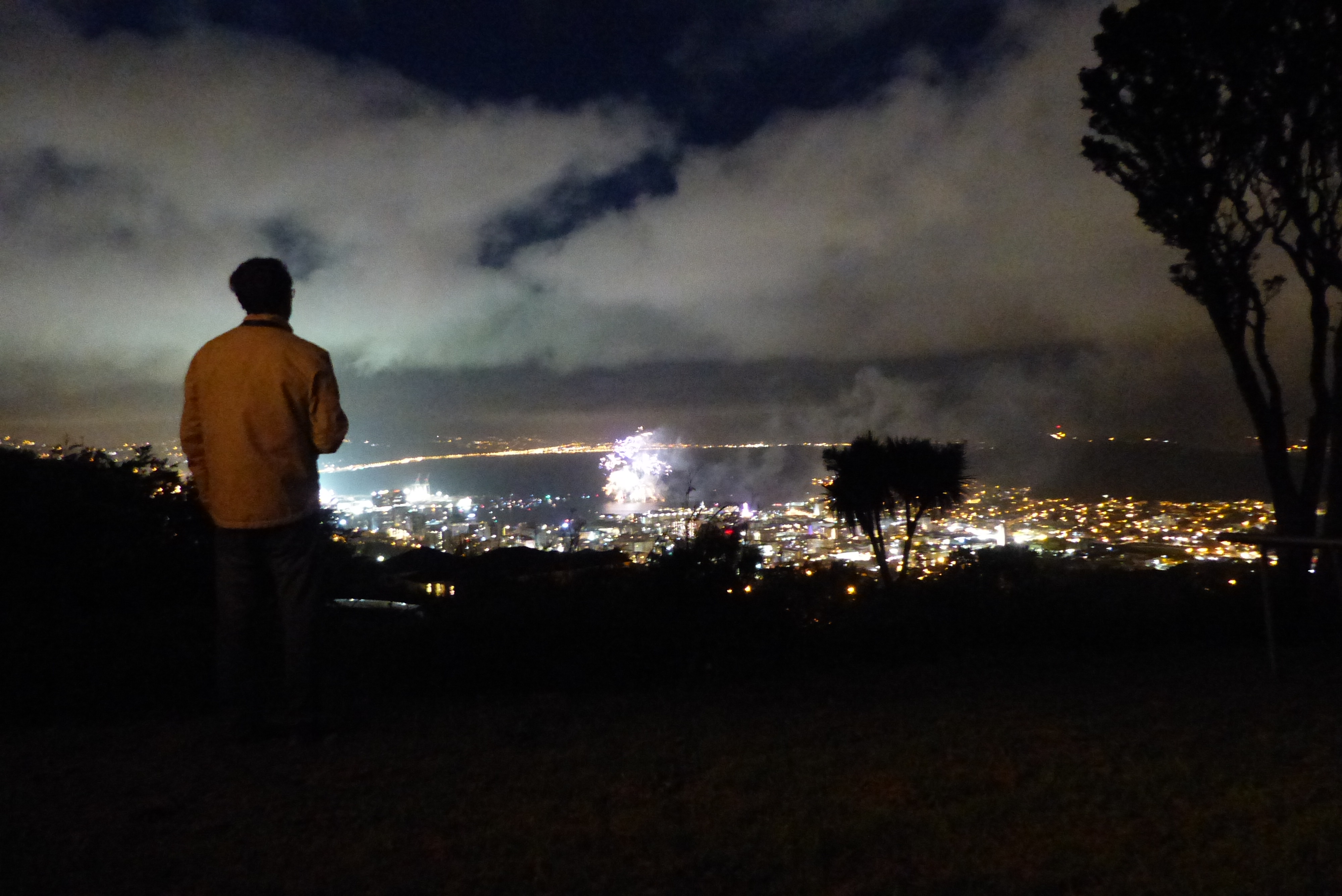 vue sur wellington harbour - 5th of november