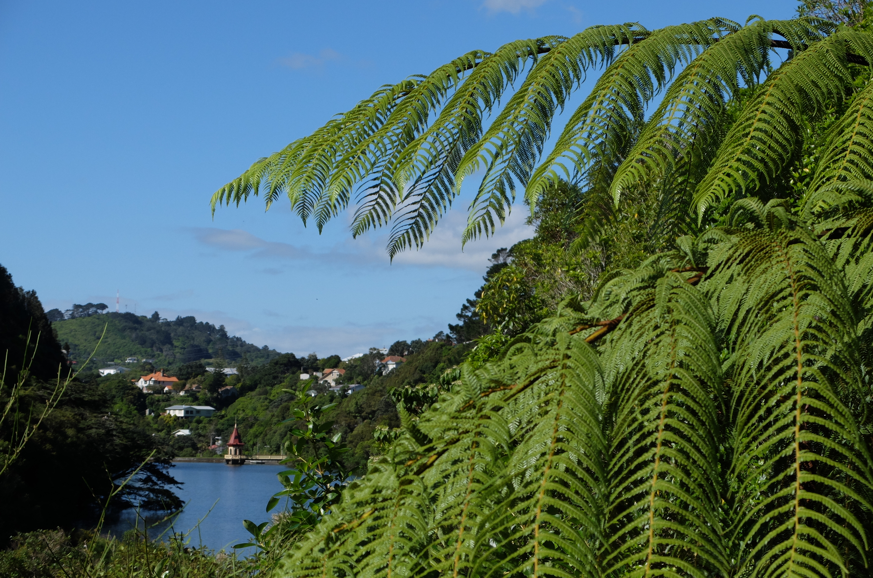 Zealandia