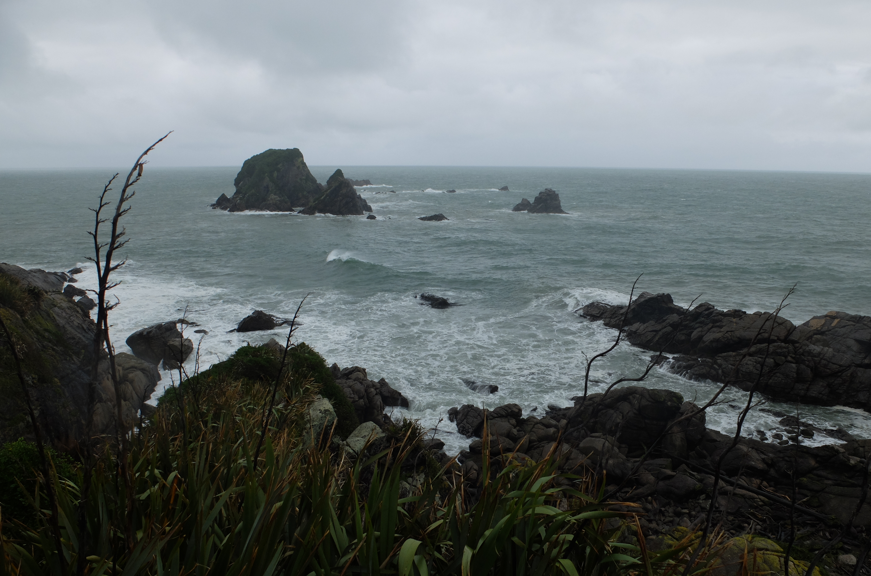 tauranga-bay-westport