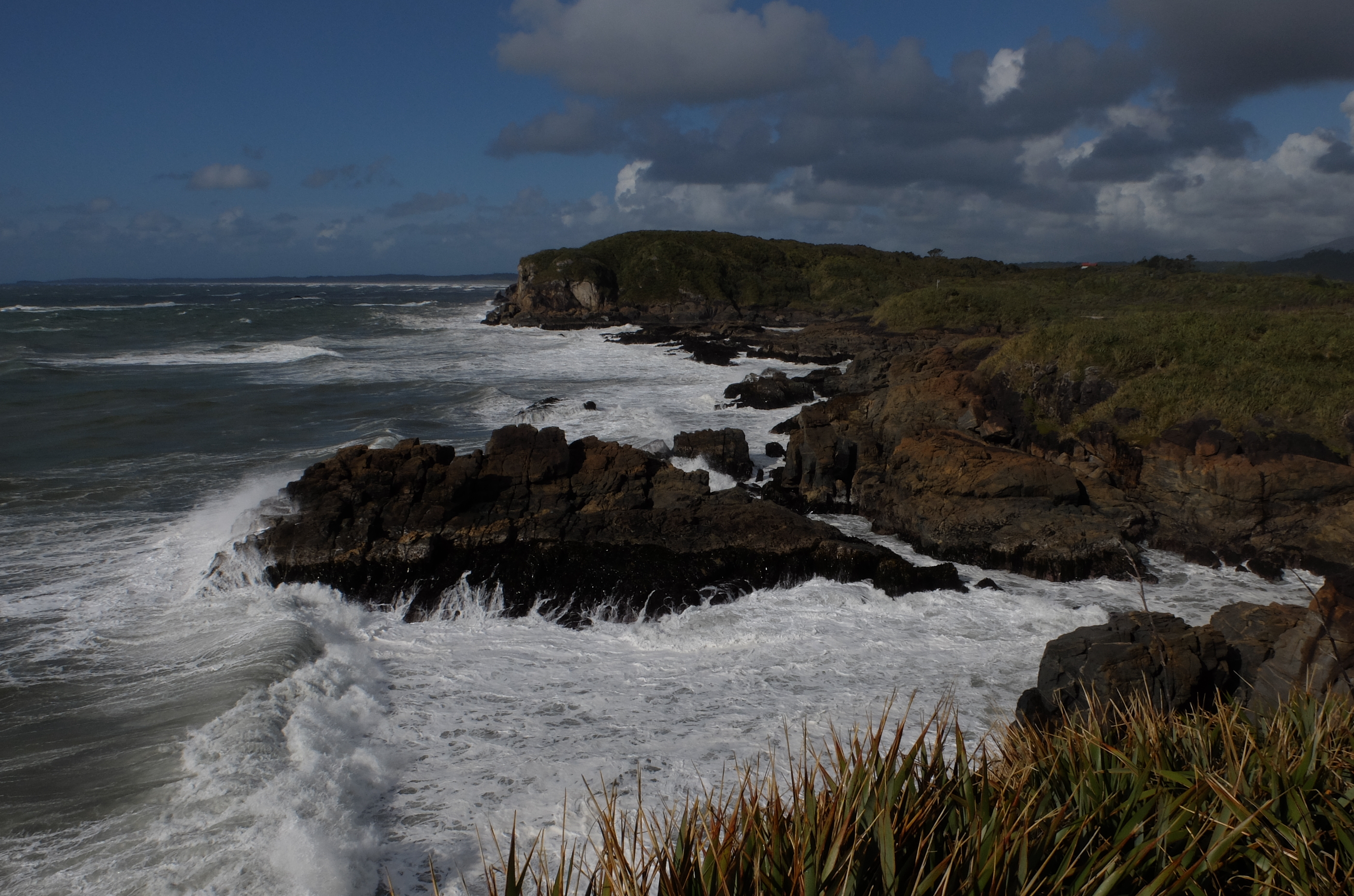 Charleston Constant Bay