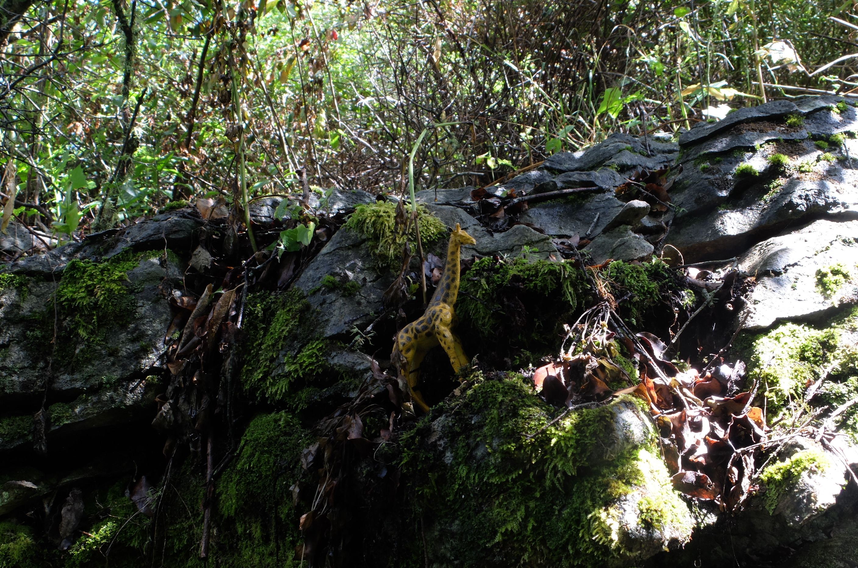 Labyrinth Rocks - Takaka