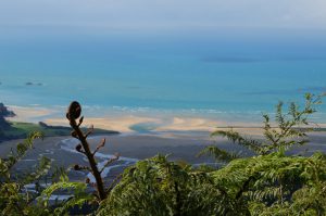 wainui bay