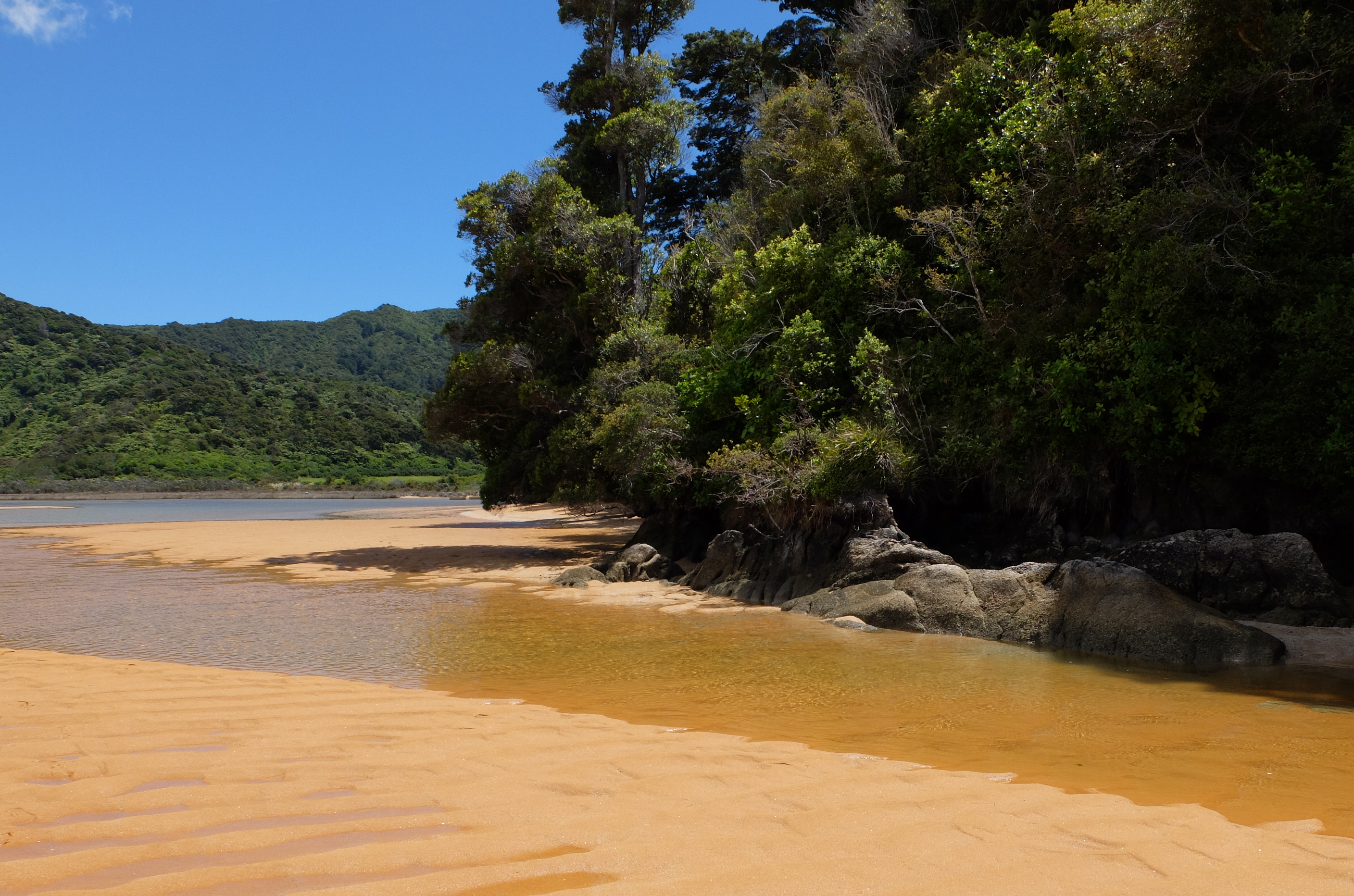 totaranui sable orangé