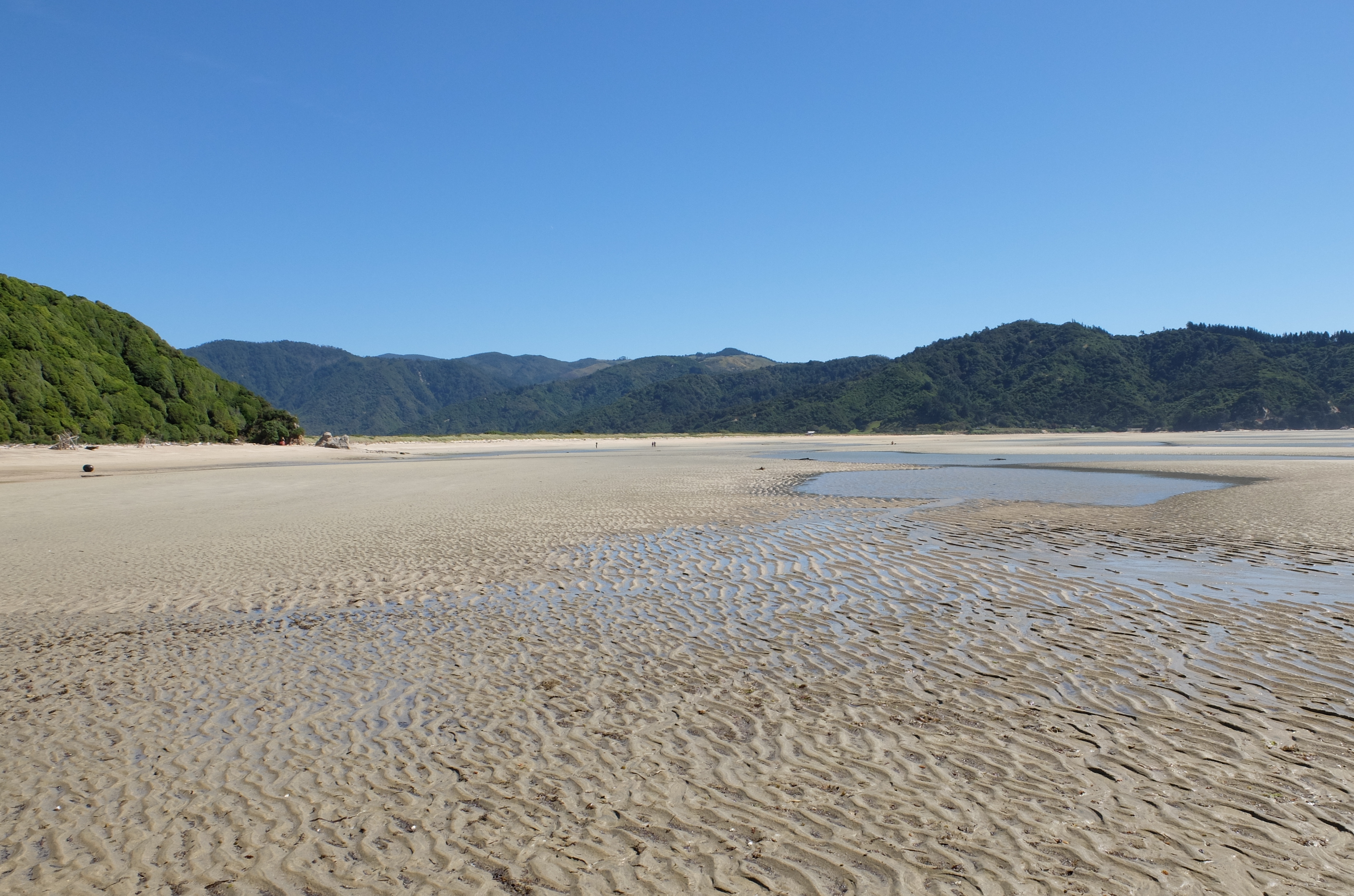 wainui beach