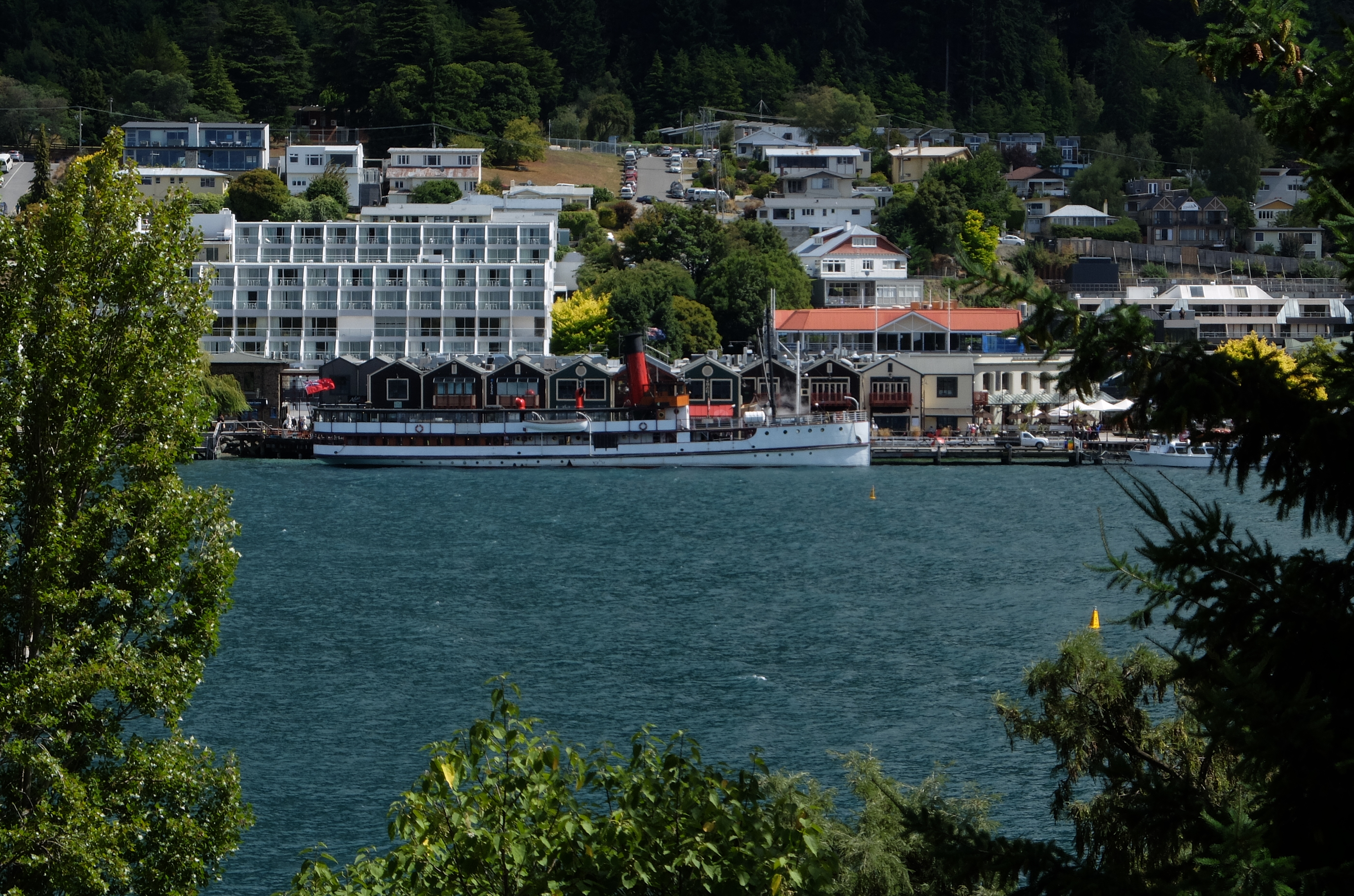 queenstown tss earnslaw