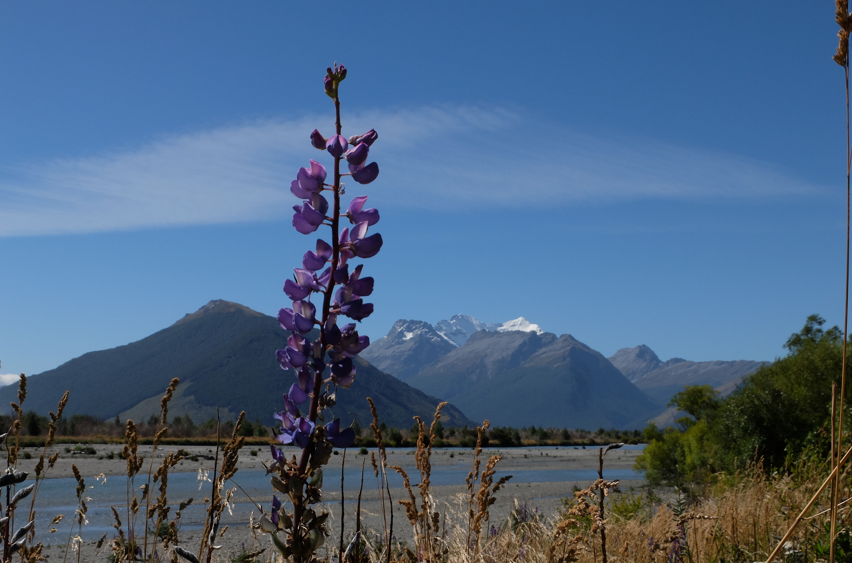 glenorchy