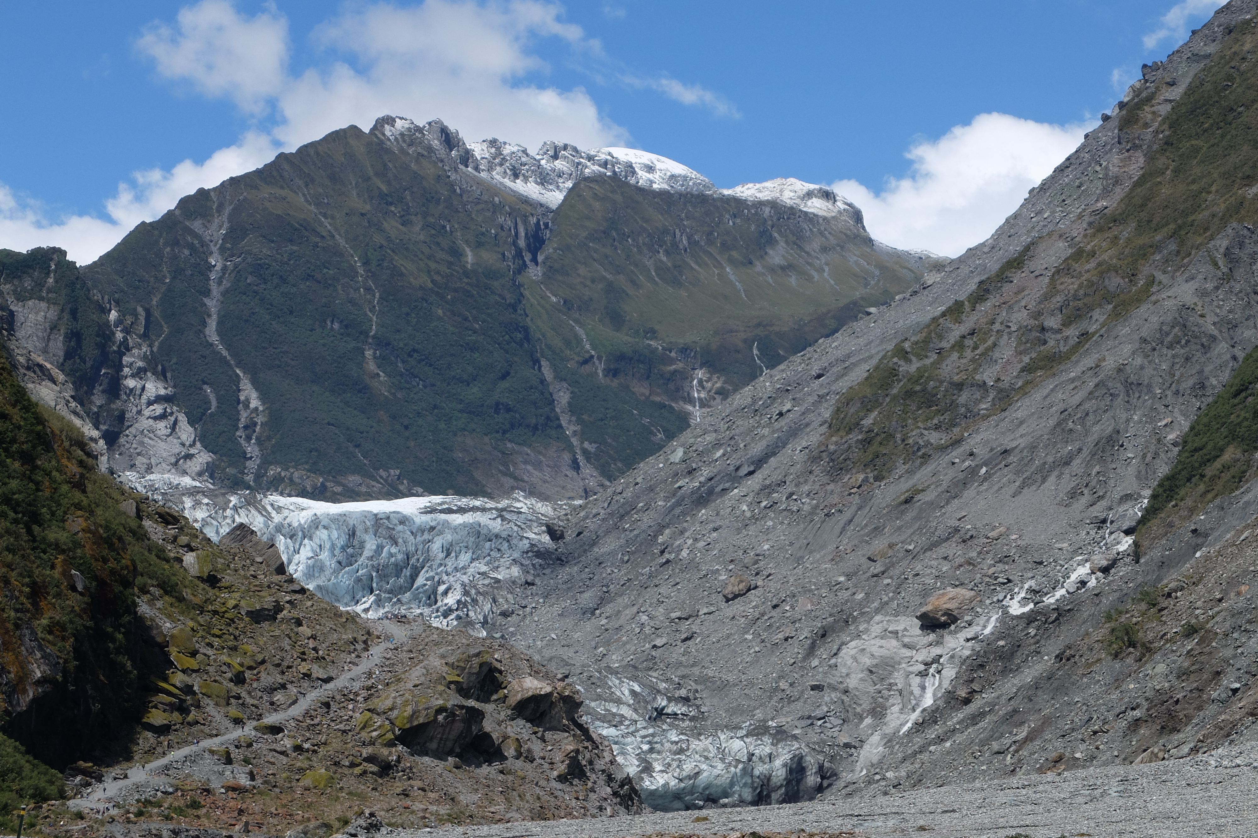 fox glacier