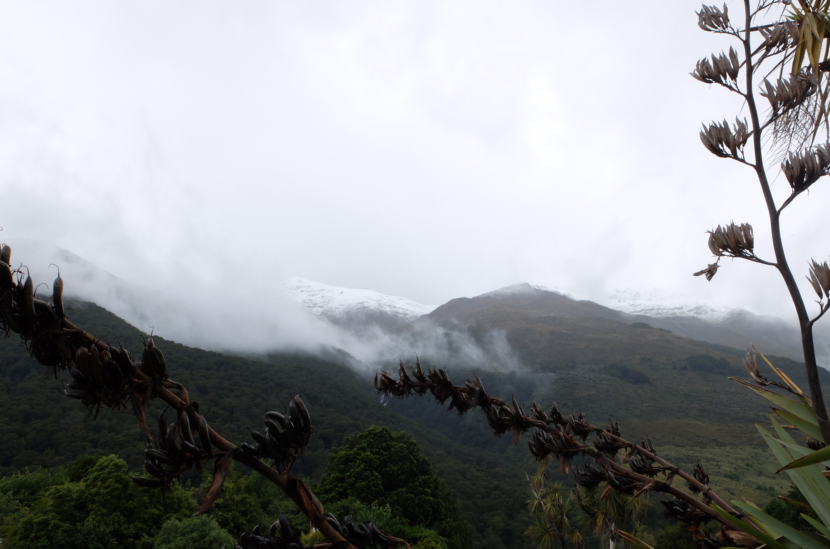 haast vers wanaka