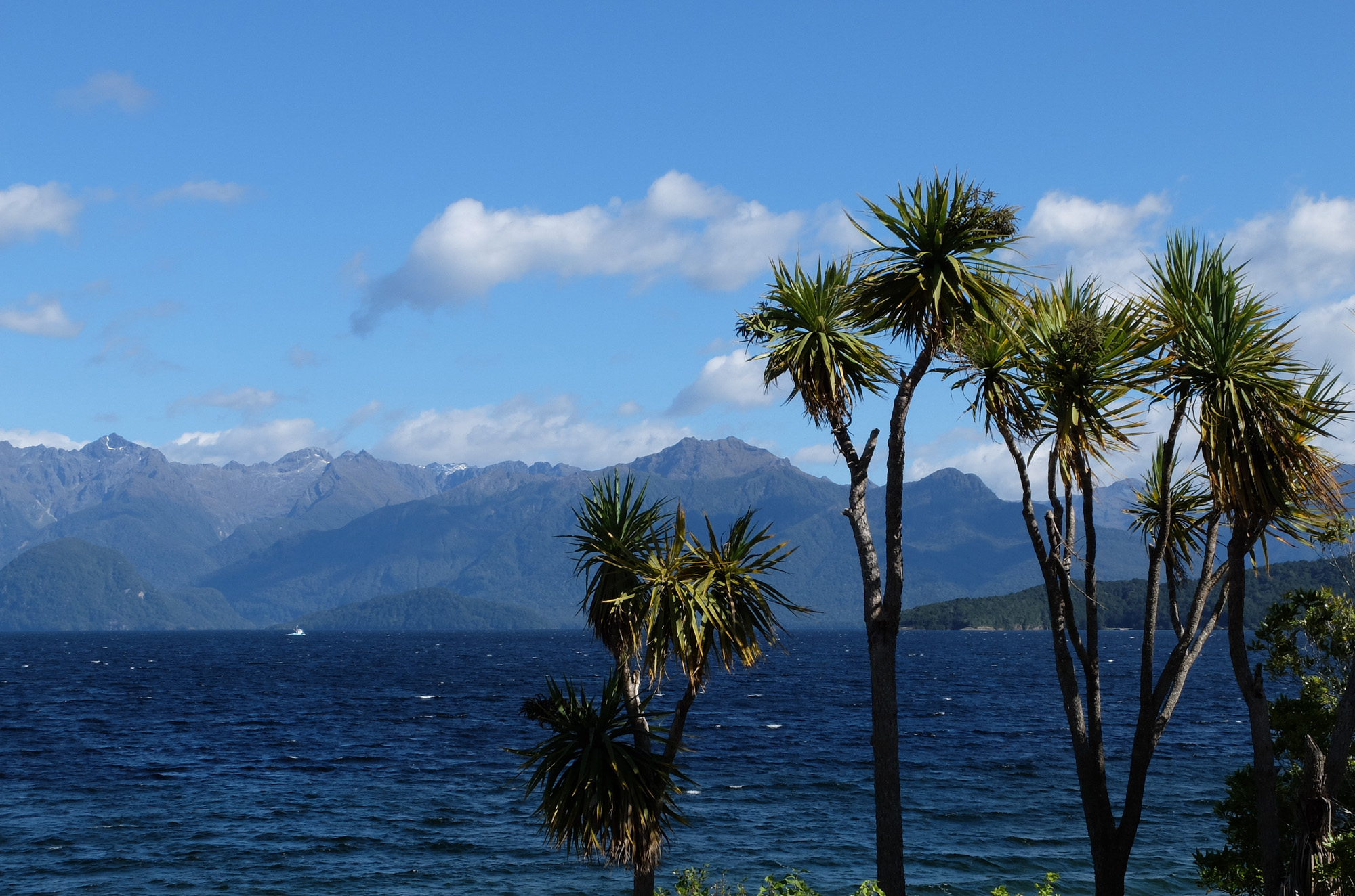 lac manapouri