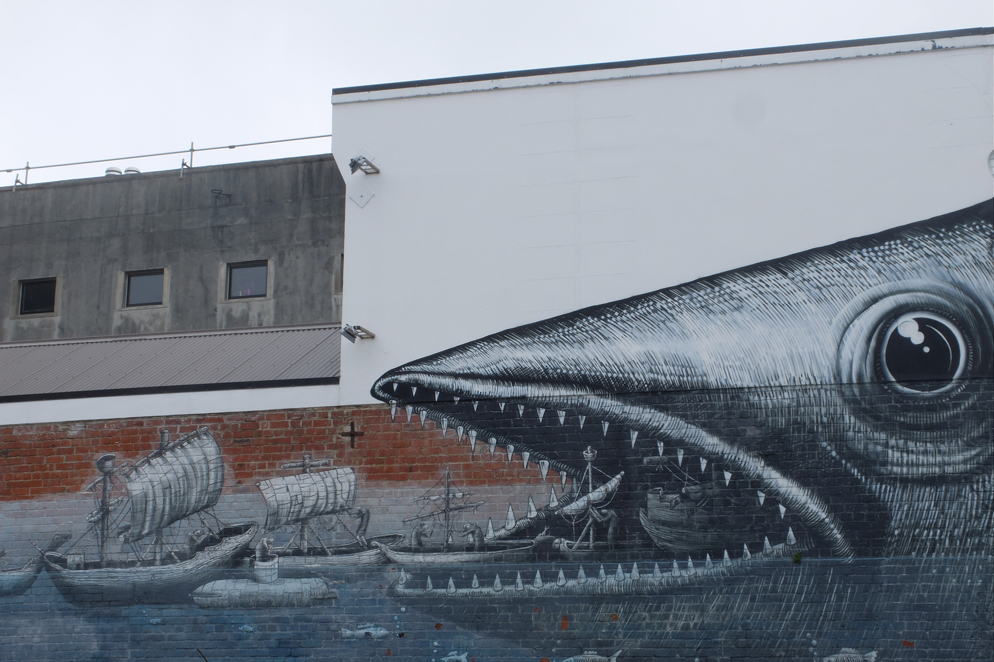 dunedin street art trail phlegm waka poisson