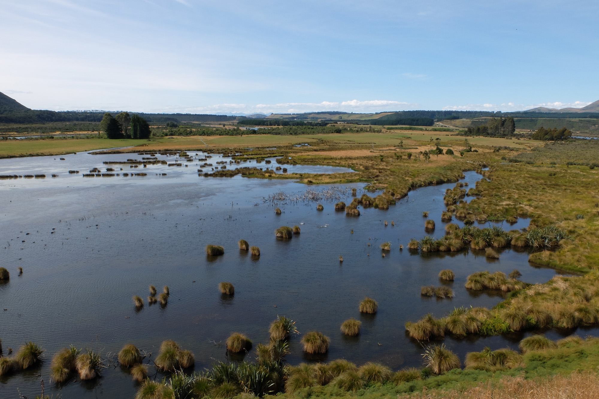 rakatu wetlands