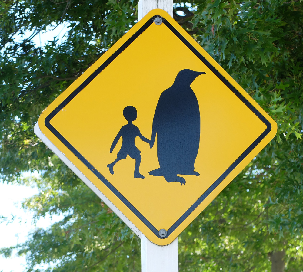 antarctica centre sign penguin