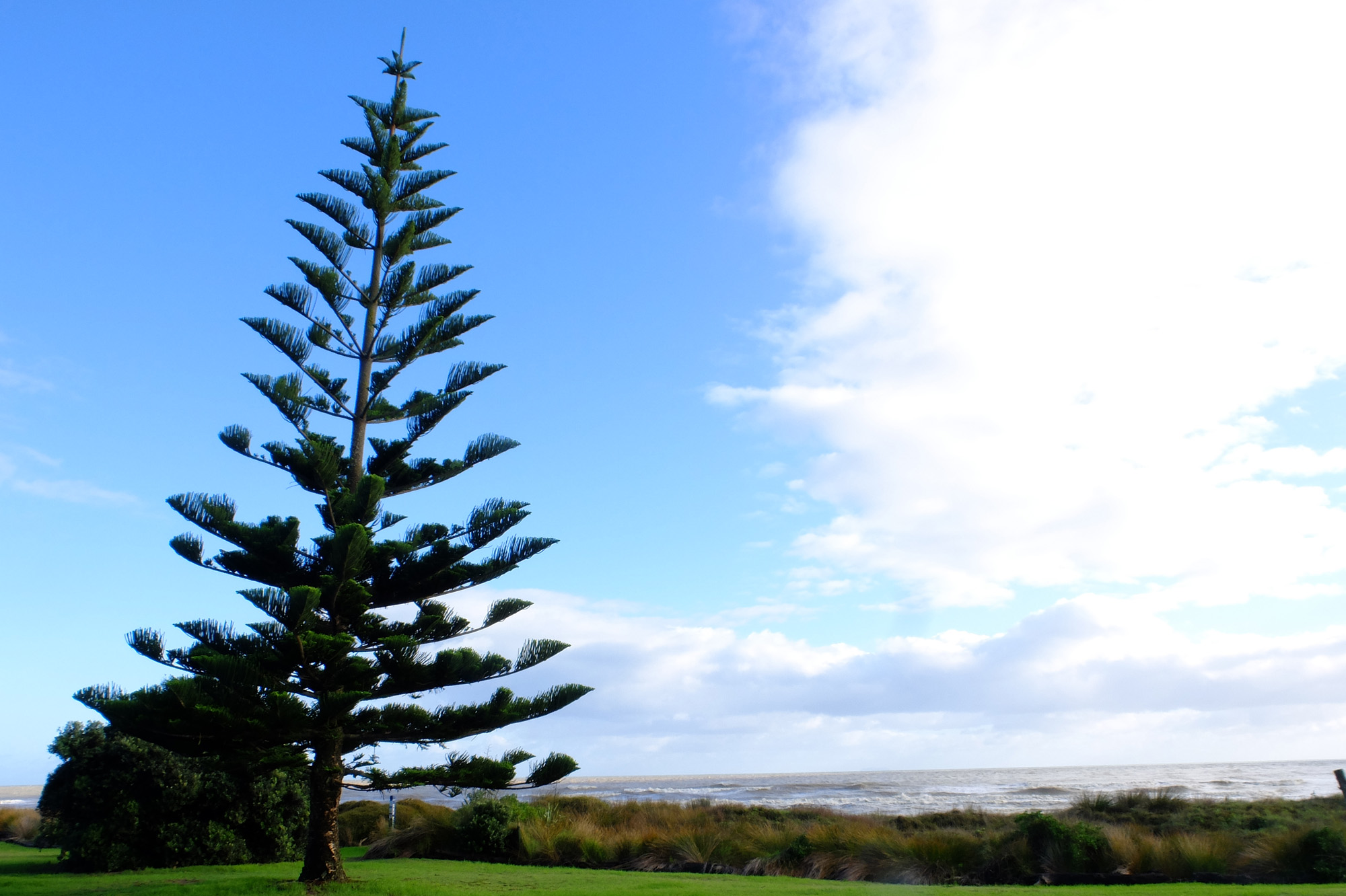 camping bord de plage opotiki