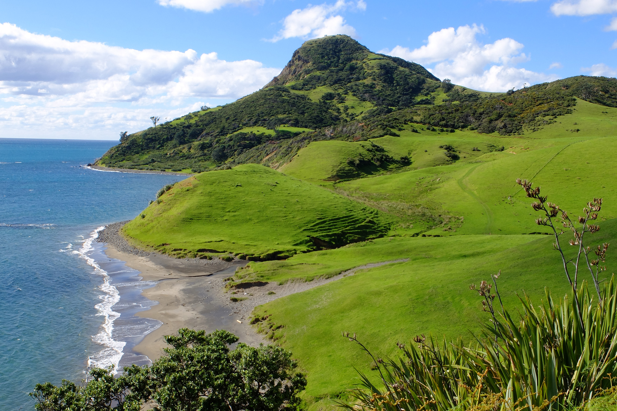 collines coromandel