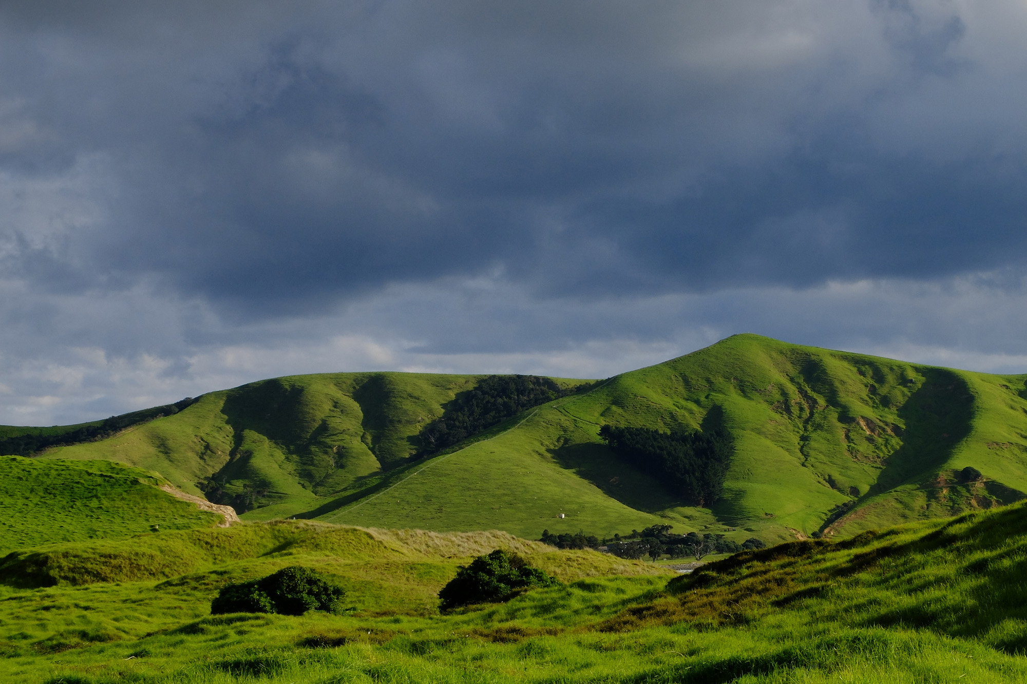 colline coromandel nuage