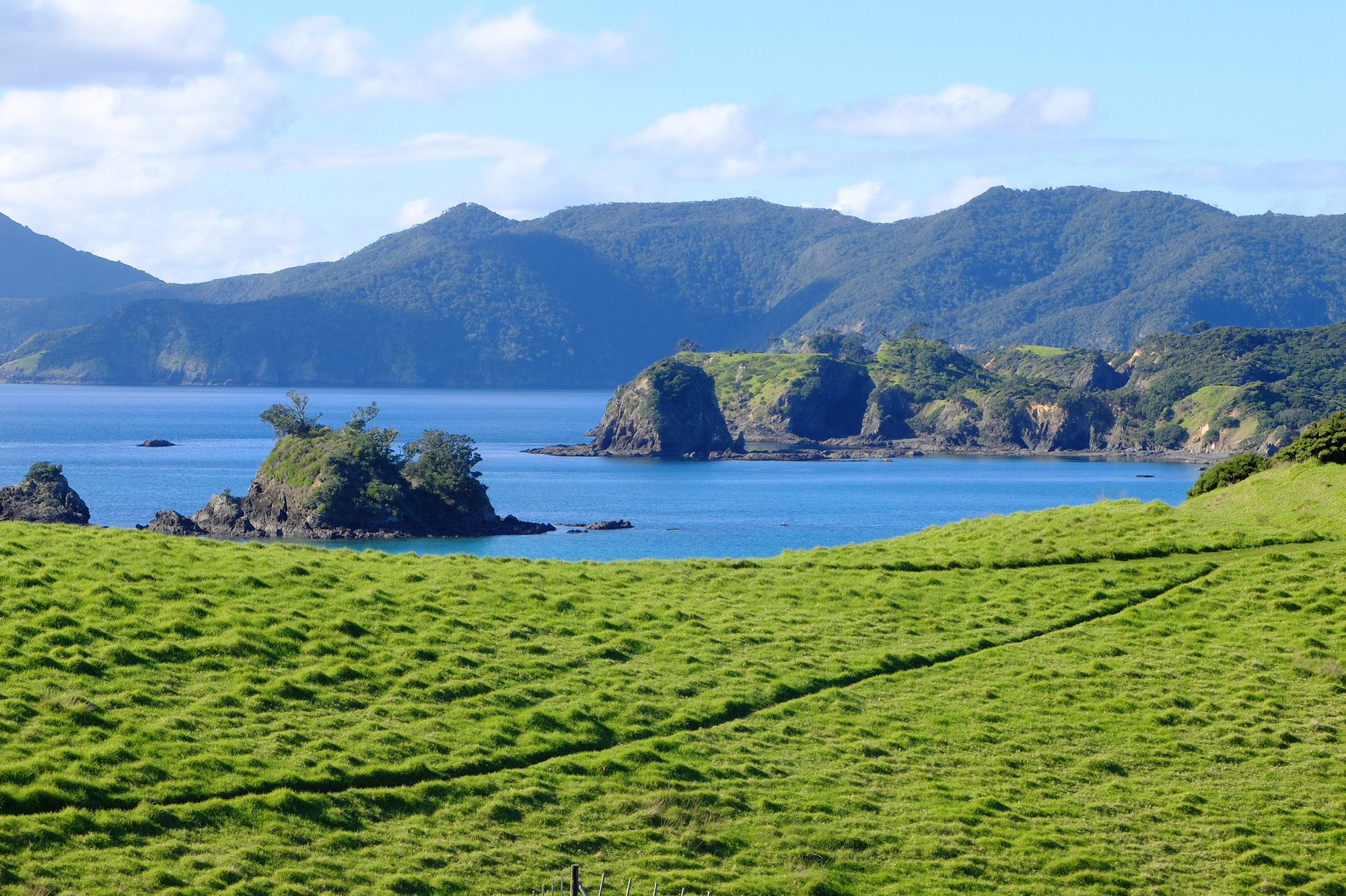 Urupukapuka point de vue