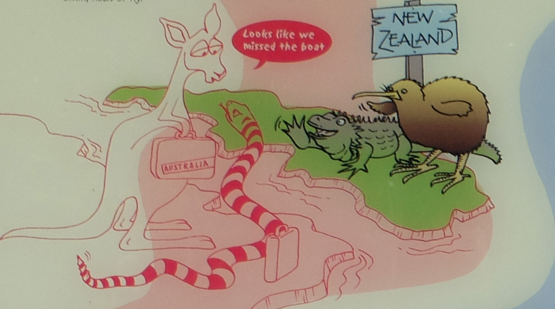 dessin humour séparation gondwana