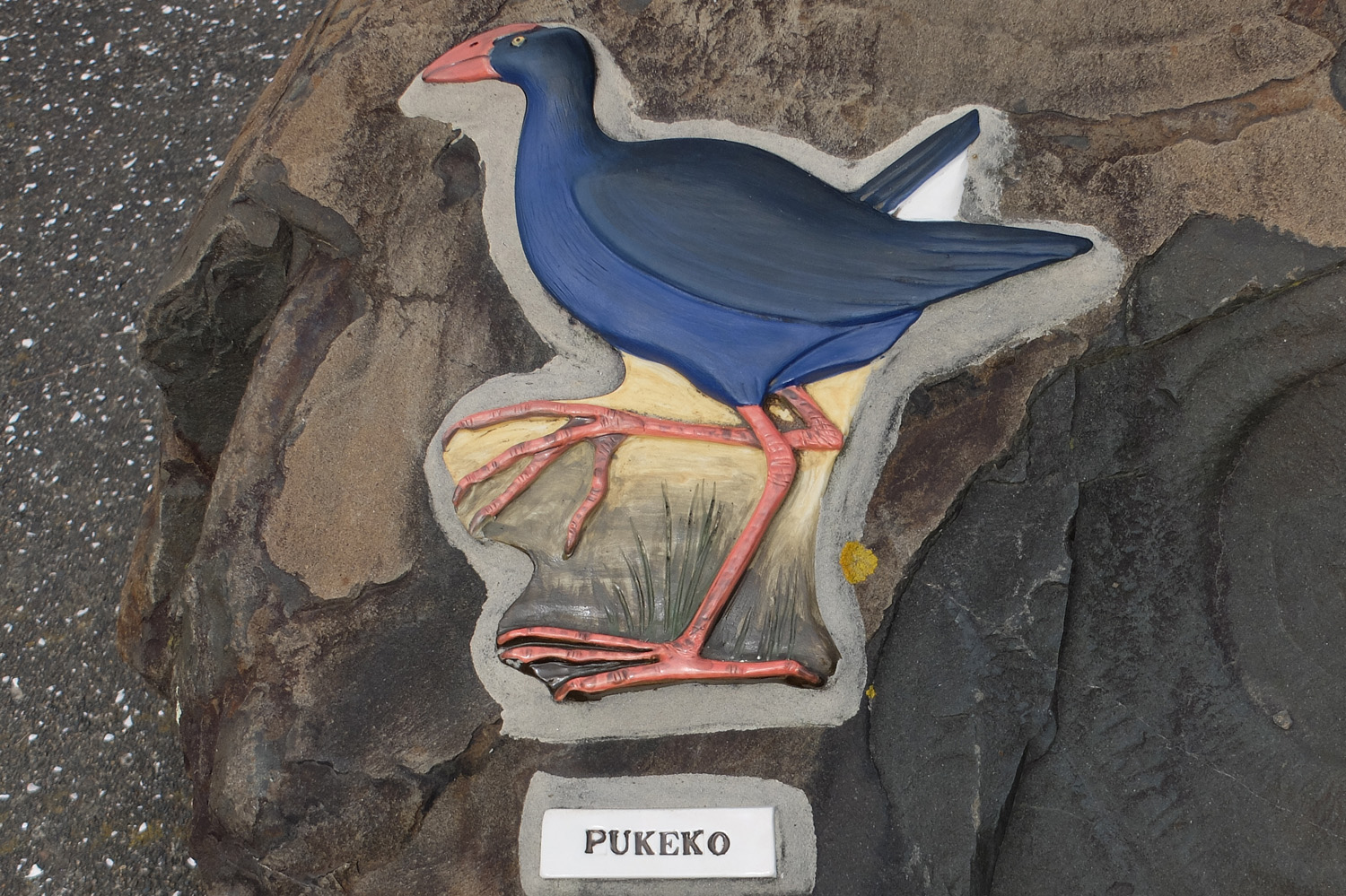 pukeko sculpture