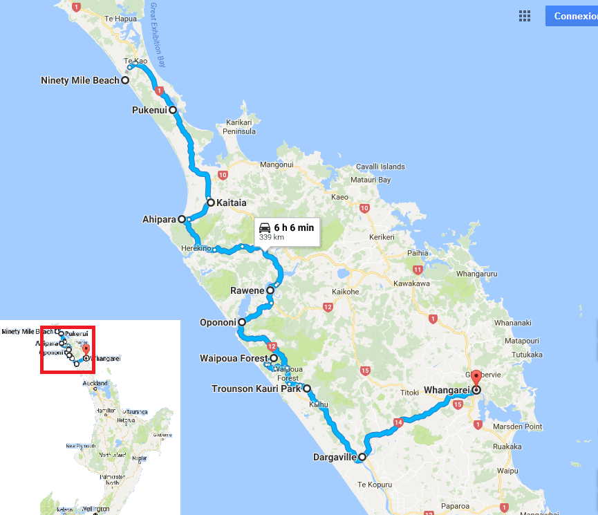 itinéraire kauri coast