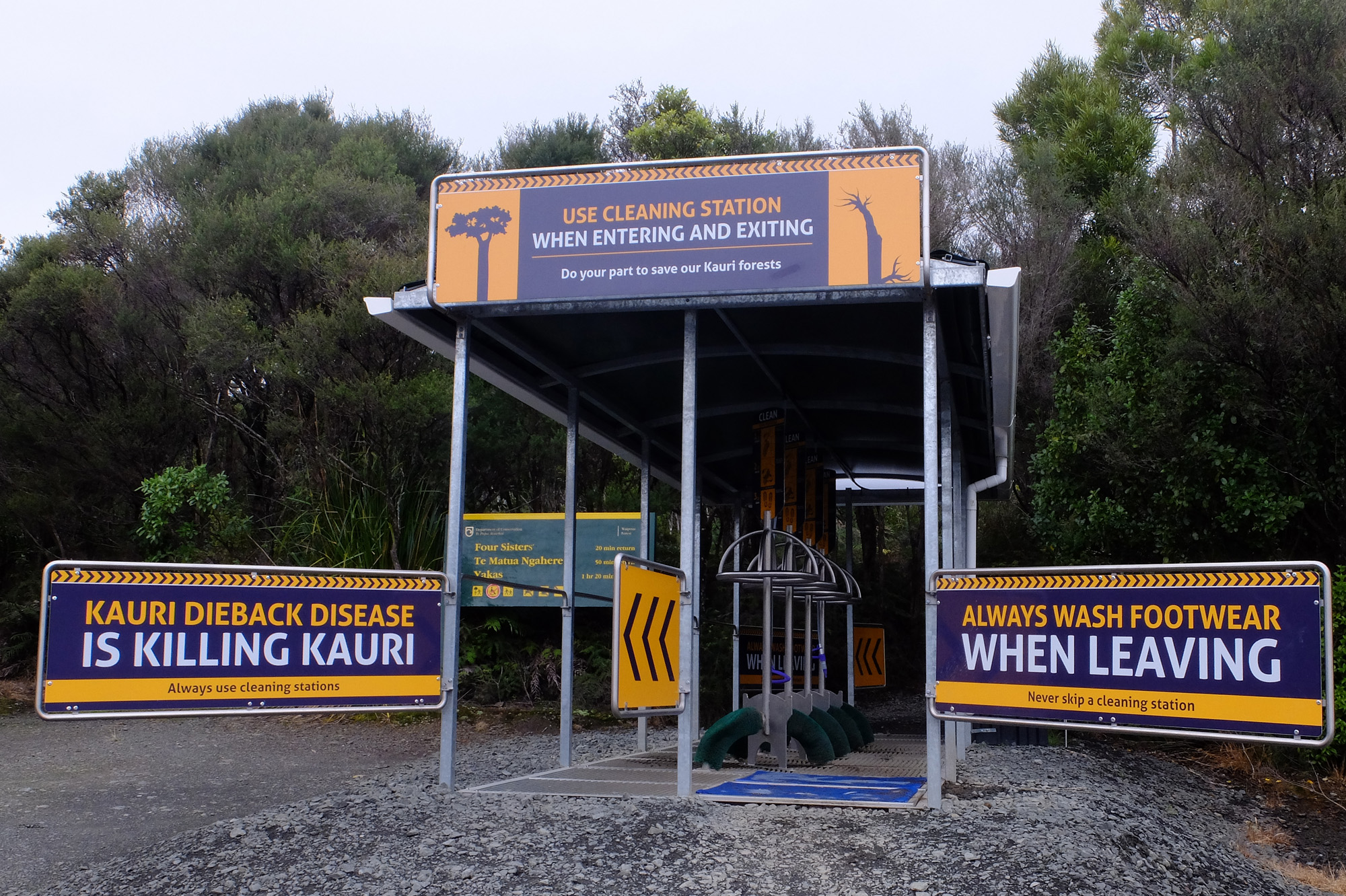 kauri avertissement entree foret