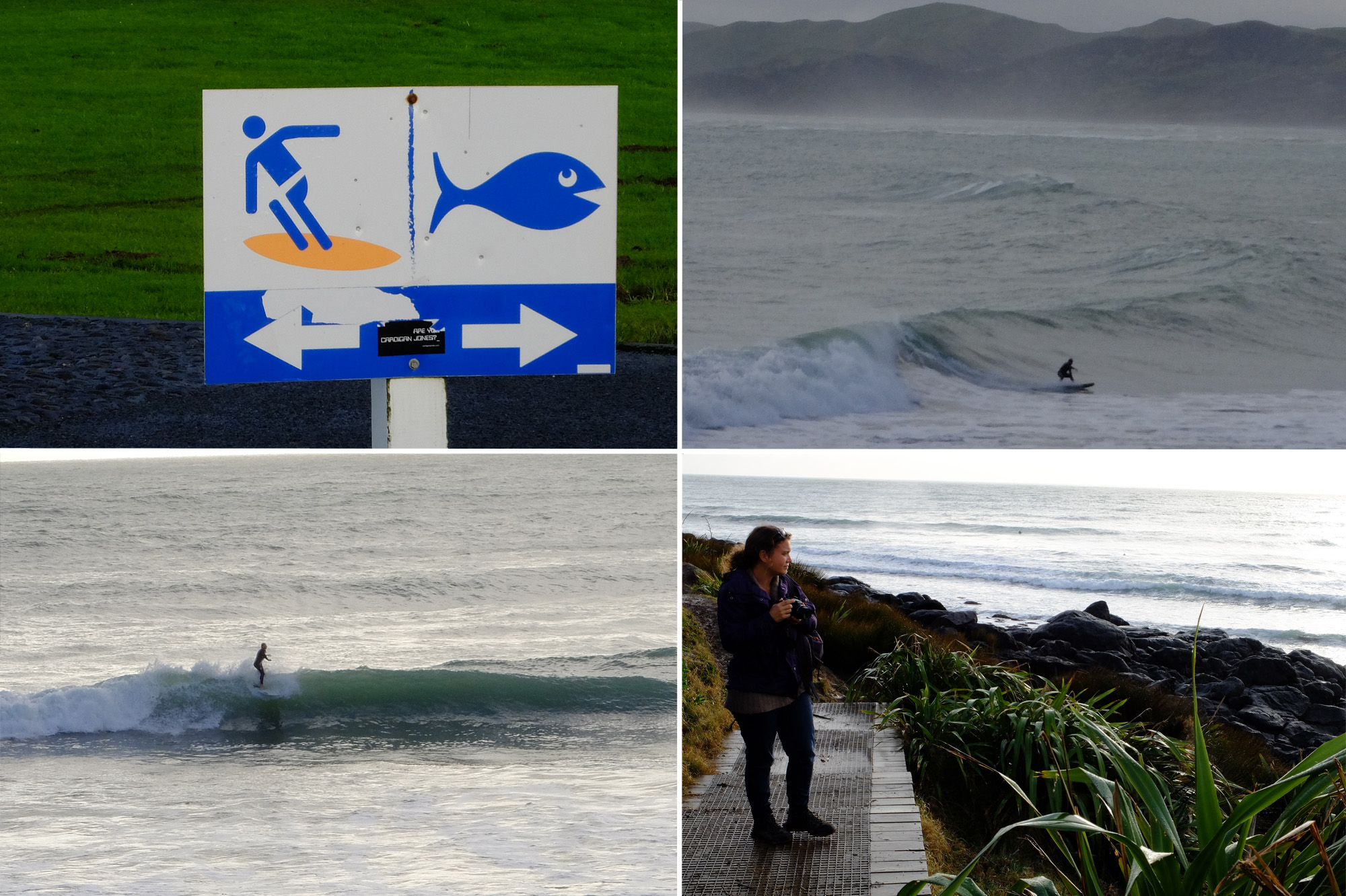 raglan mer surfeurs