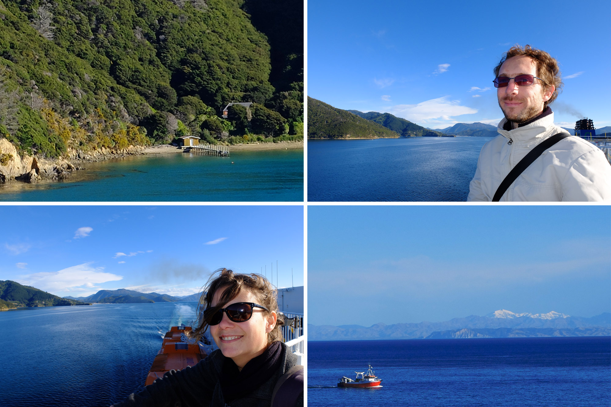 marlborough sounds ferry