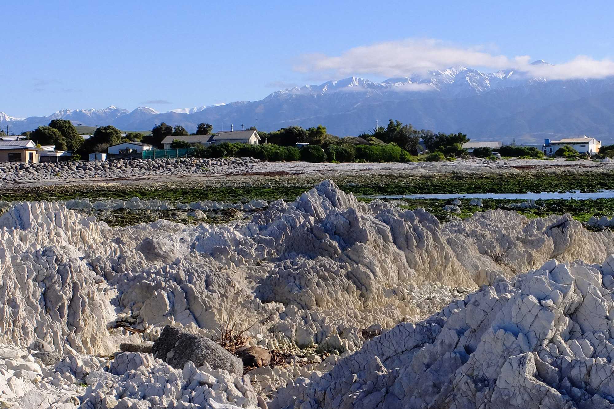 kaikoura rochers 