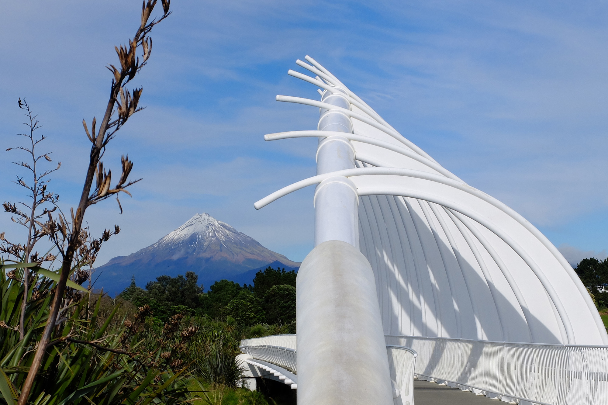 te rewa rewa bridge pont mont taranaki