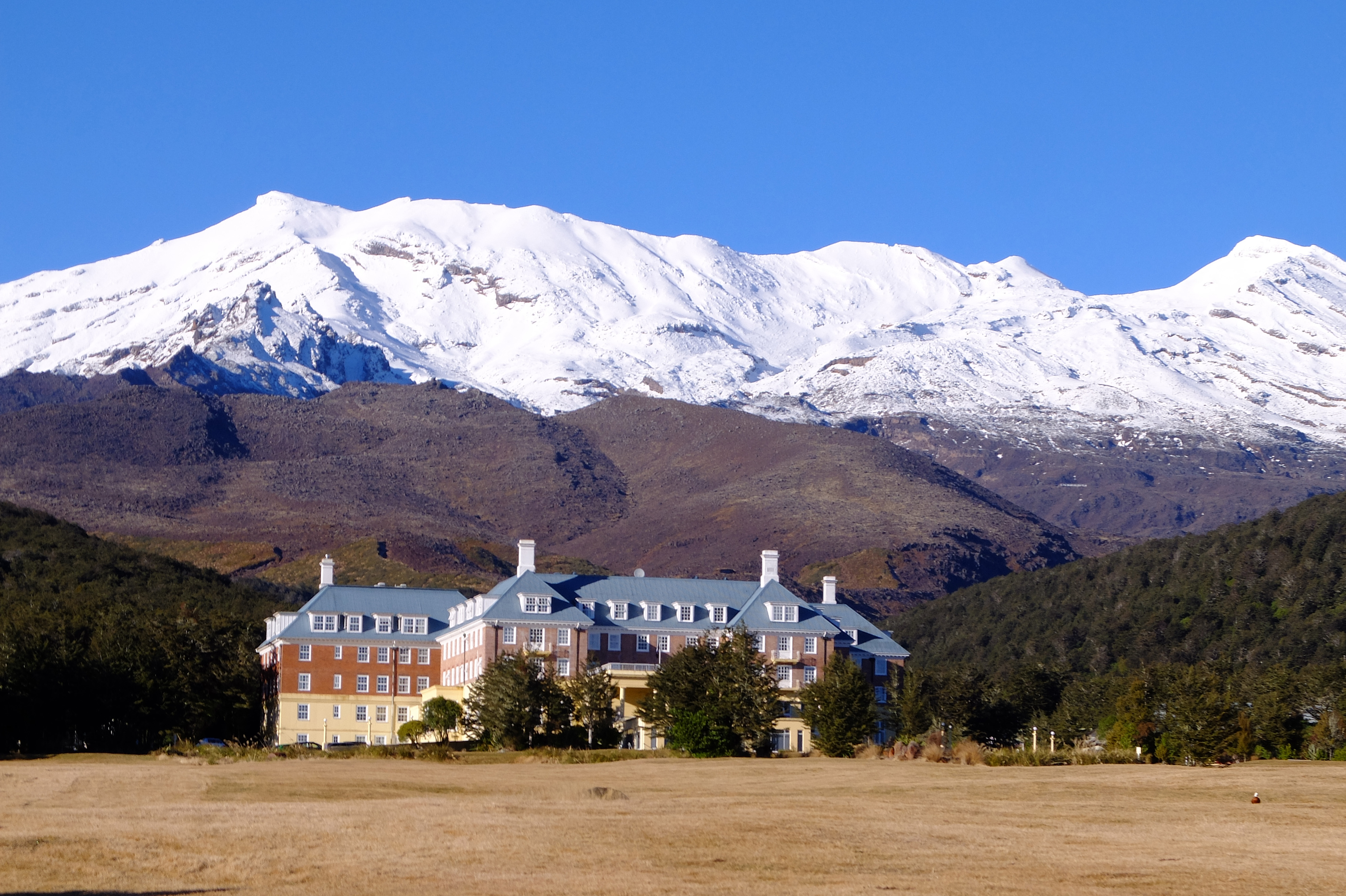 chateau tongariro