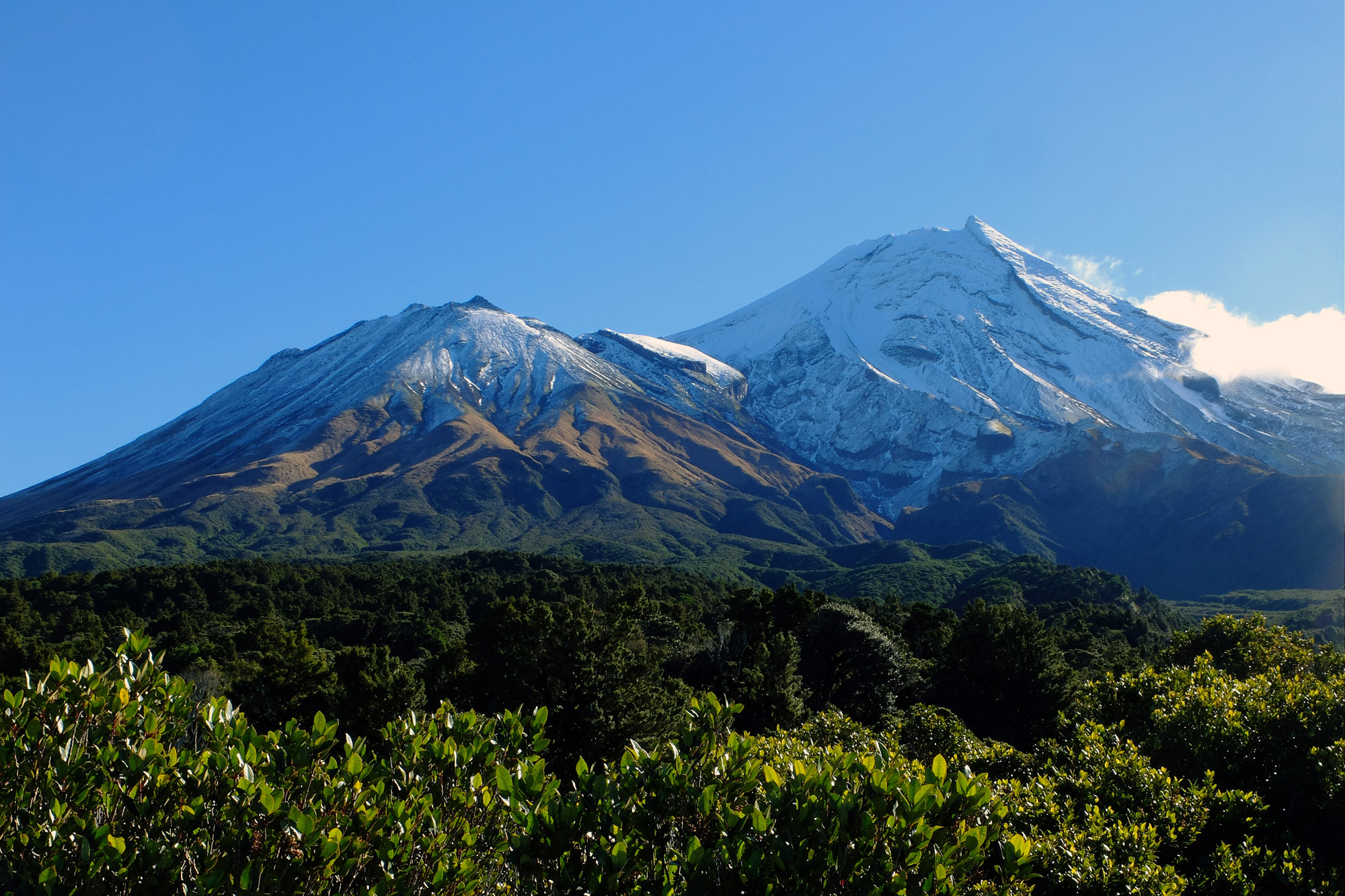 taranaki fanthams peak