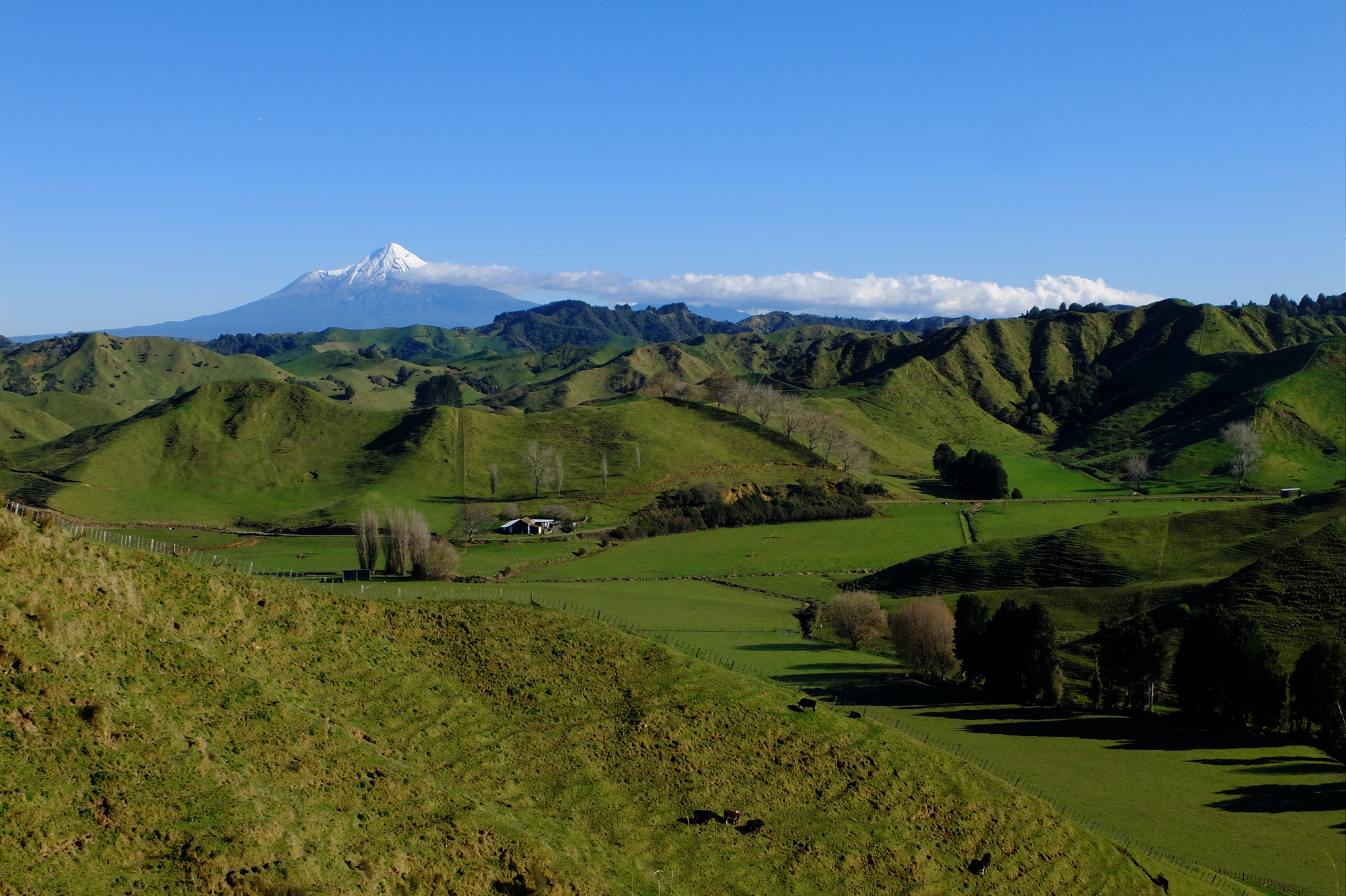 taranaki SH43