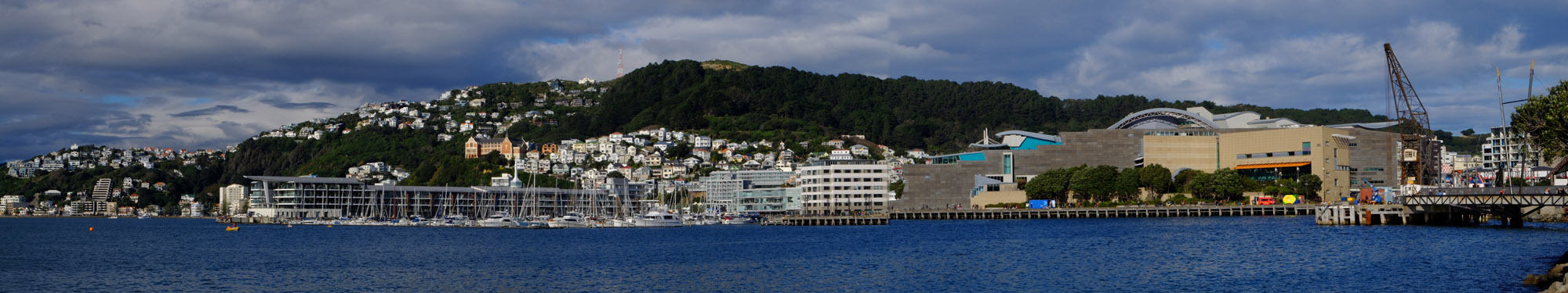 wellington te papa oriental bay