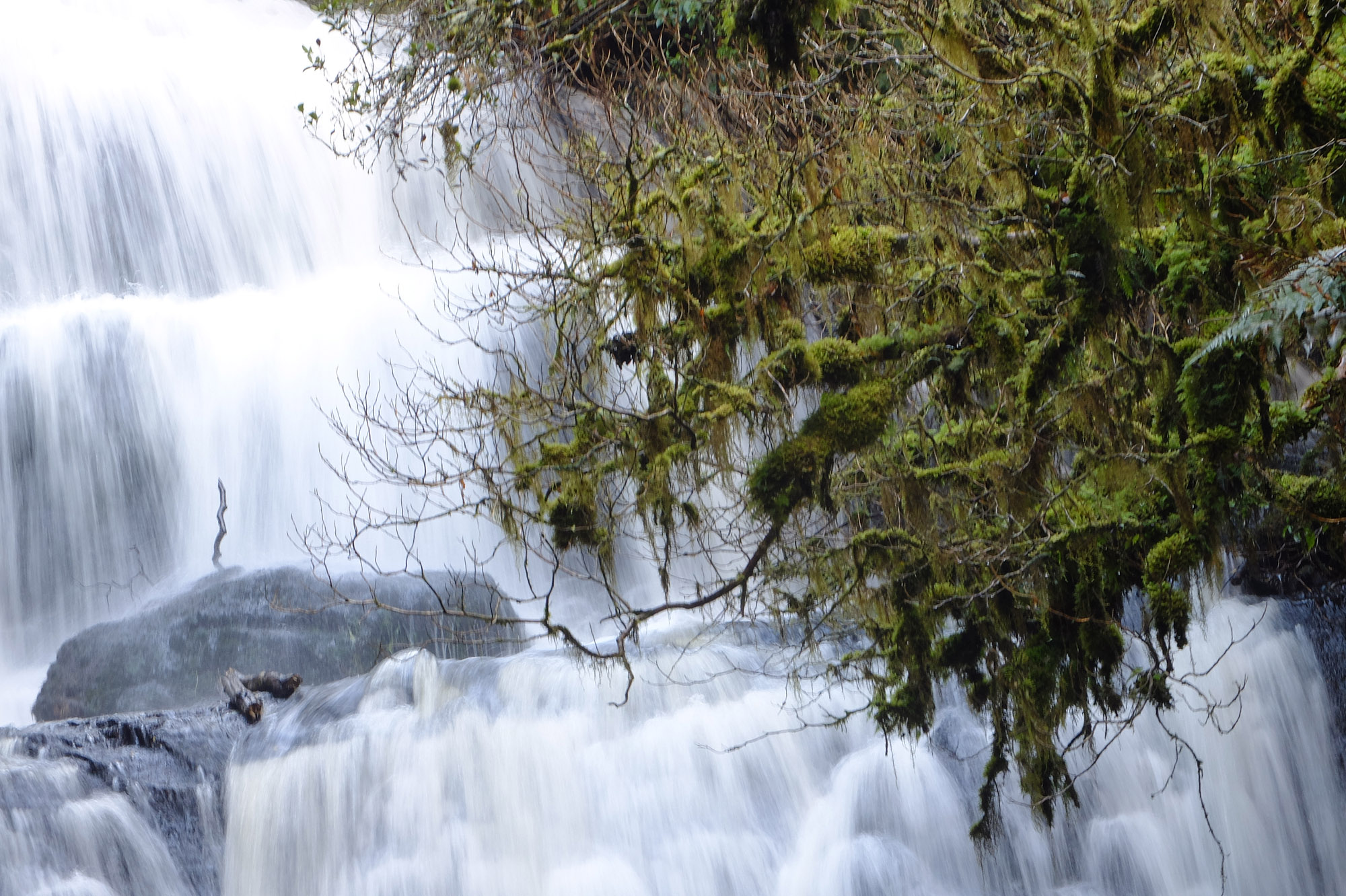 chute d'eau purakaunui