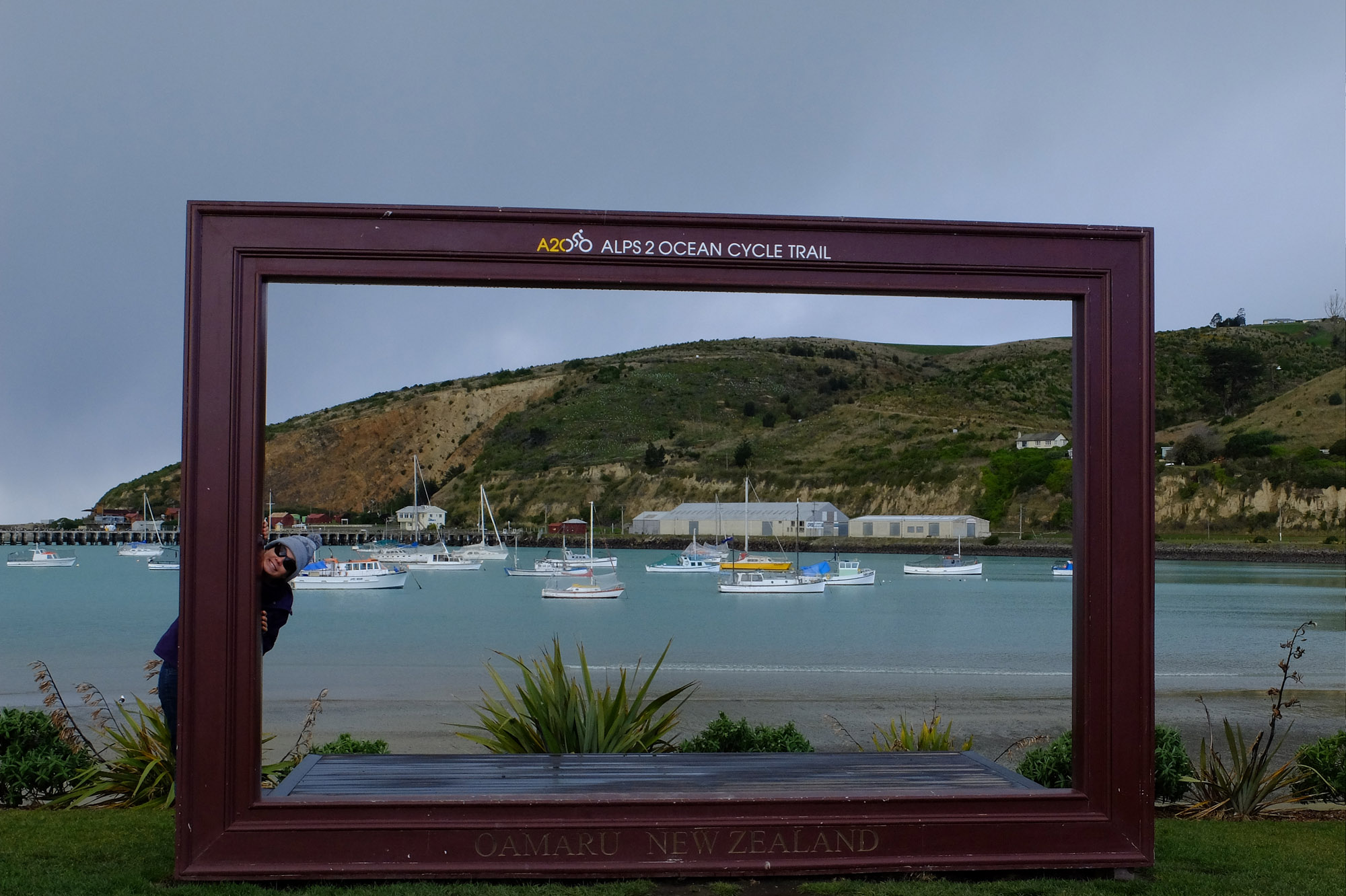 oamaru harbour amandine