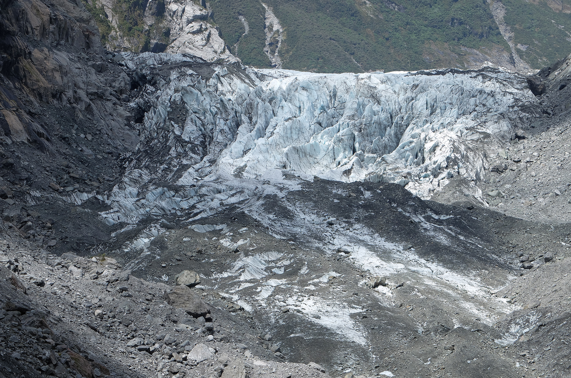 Fox Glacier